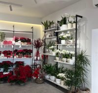 Fioreria Cooperativa Premariacco