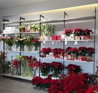 Fioreria Cooperativa Premariacco